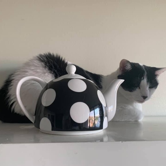 Her Royal Feline Majesty Louise… - Picture 4 of 4